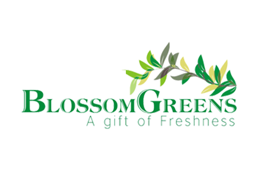 Blossom Green Noida